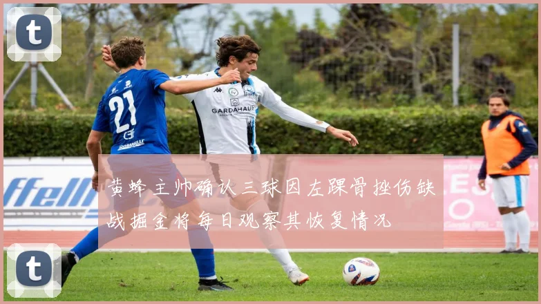 黄蜂主帅确认三球因左踝骨挫伤缺战掘金将每日观察其恢复情况