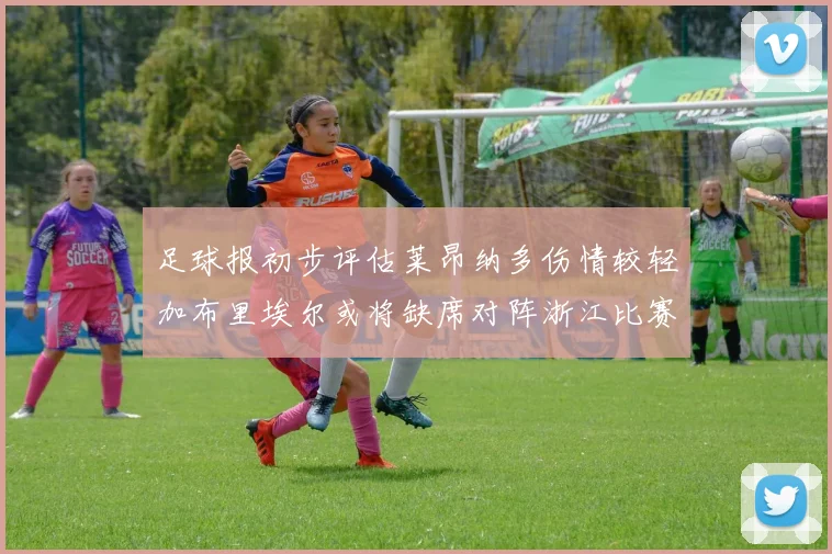 足球报初步评估莱昂纳多伤情较轻加布里埃尔或将缺席对阵浙江比赛