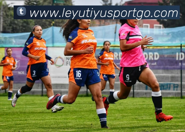 乐鱼体育品牌故事